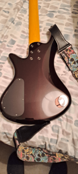 Schecter diamond series stiletto extreme 5, jack leads & gator hard case