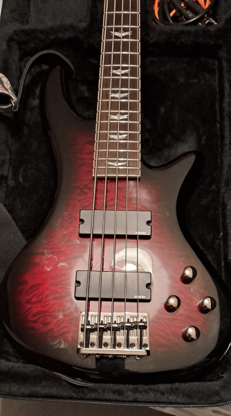 Schecter diamond series stiletto extreme 5, jack leads & gator hard case