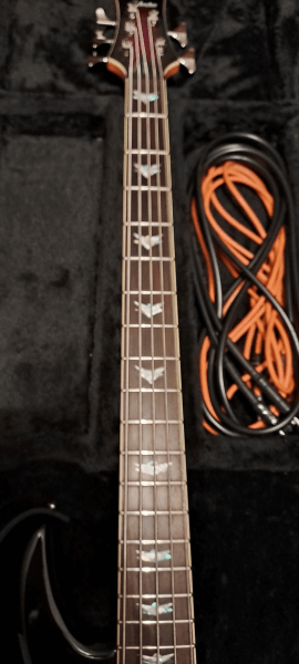 Schecter diamond series stiletto extreme 5, jack leads & gator hard case